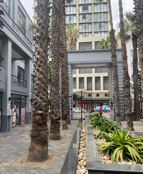 To Let 1 Bedroom Property for Rent in Cape Town City Centre Western Cape